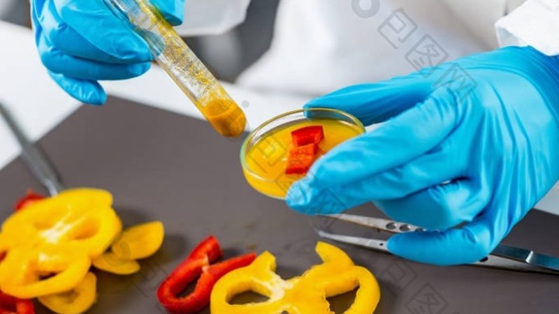 食品批发货源网APP：你的智慧选品利器